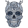 Skull