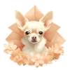 Pink Chihuahua