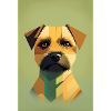 Border Terrier