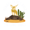 Fennec foxes rule sand dunes