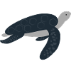 Cute Sea Turtle in blue