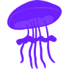 Beautiful jellyfish