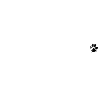 Famille de chiens