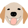 Golden Retriever 1