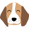 Cute puppy face 2