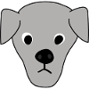 chiot 6
