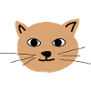 Katzengesicht 1