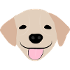 Golden Retriever 2