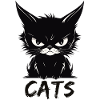 Cats Cute Annoyed Cat Face