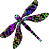 Libellule