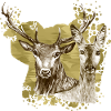 Deer and doe