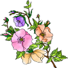 Fleur