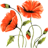 Blumen