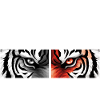 FEARLESS - Tiger