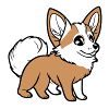 Corgi