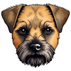 Border Terrier Hund - Illustration