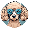 Pudel mit Sonnenbrille