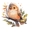 Singvogel Baby