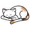 Little cat napping