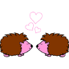 Hedgehog in love