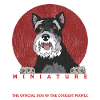 Schnauzer Schnauzer Miniature Chiens Cadeau