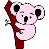 koala