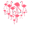 Herz Flamingo
