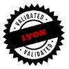 LYON Stadt