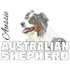Australian Shepherd