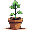 Sweet potted plant