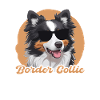 Border Collie Papa