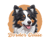 Border Collie Mama