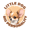 Petit Chien Grande Personnalité Chihuahua