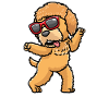 Goldendoodle dog dancing with sunglasses