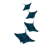 Manta rays