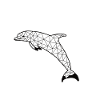 Dolphinn GeomeTRIX
