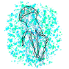 Jellyfishh GeomeTRIX bunt