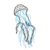 Jellyfishh GeomeTRIX