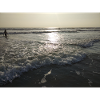 Sea, beach, wave, surf