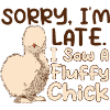 Widziałem puszystą laskę Silkie Chicken Silken Chicken