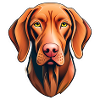 Vizsla Dog Portrait