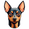 MINPIN: Zwergpinscher