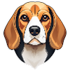 Beagle Illustration Portrait