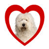 Dog Lovers - Dogs Heart - Bobtail