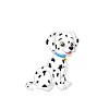 Gifts for Dalmatian Lovers