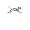 Gifts for Dalmatian Lovers