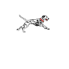 Gifts for Dalmatian Lovers
