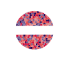 Wochenendvorhersage - 100% Chance auf