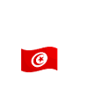 Tunisien Fière