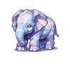 Éléphant Éléphant Éléphant Bébé Pachyderme